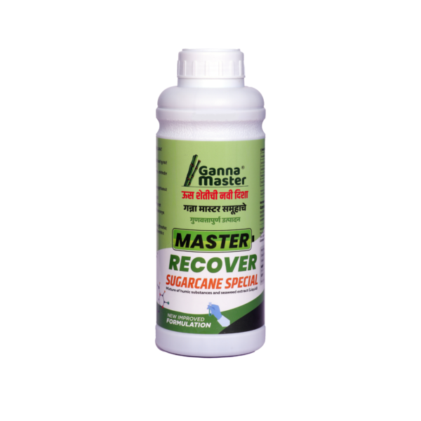 Master Recover