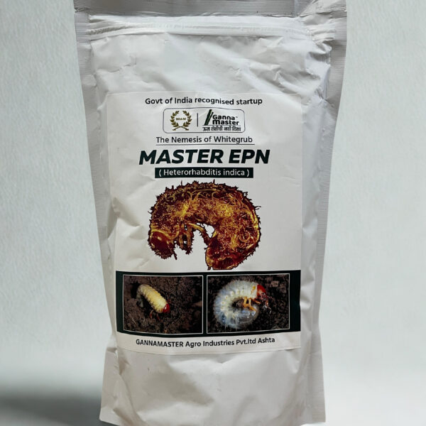 MASTER EPN
