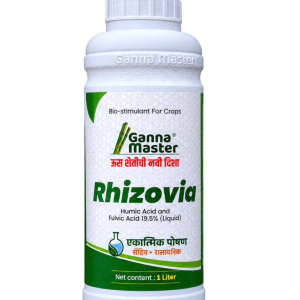 Rhizovia