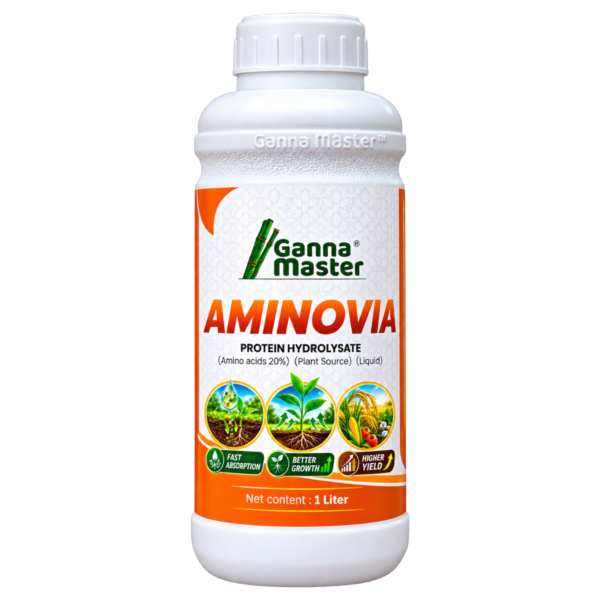 Aminovia